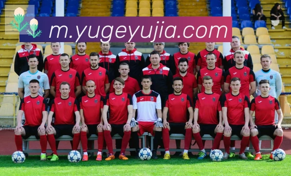 爱游戏ayx发展历程