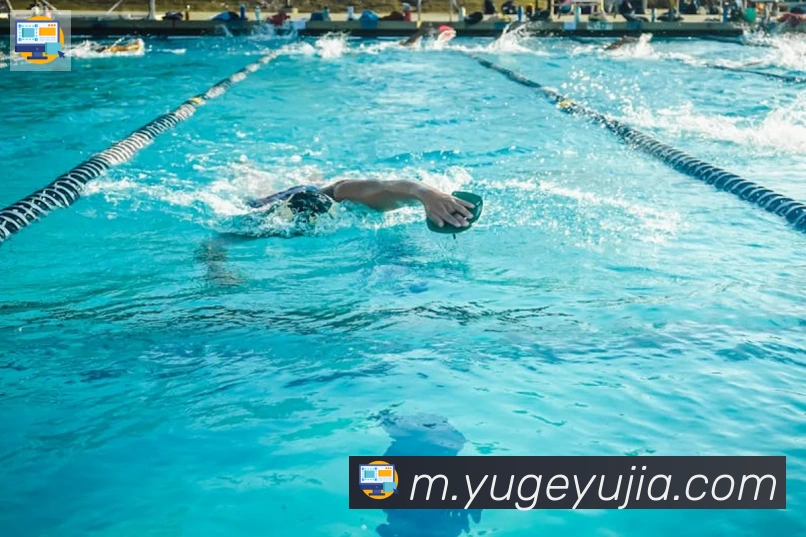 爱游戏ayxAPP 封面图