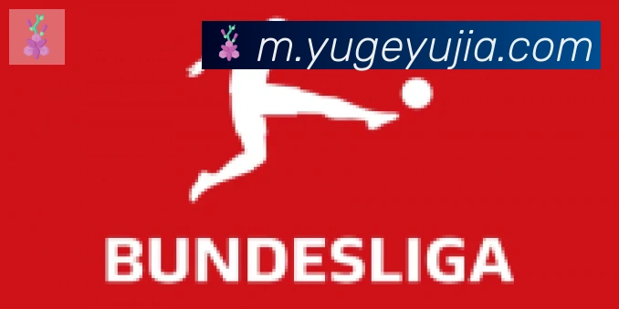 爱游戏ayx合作伙伴